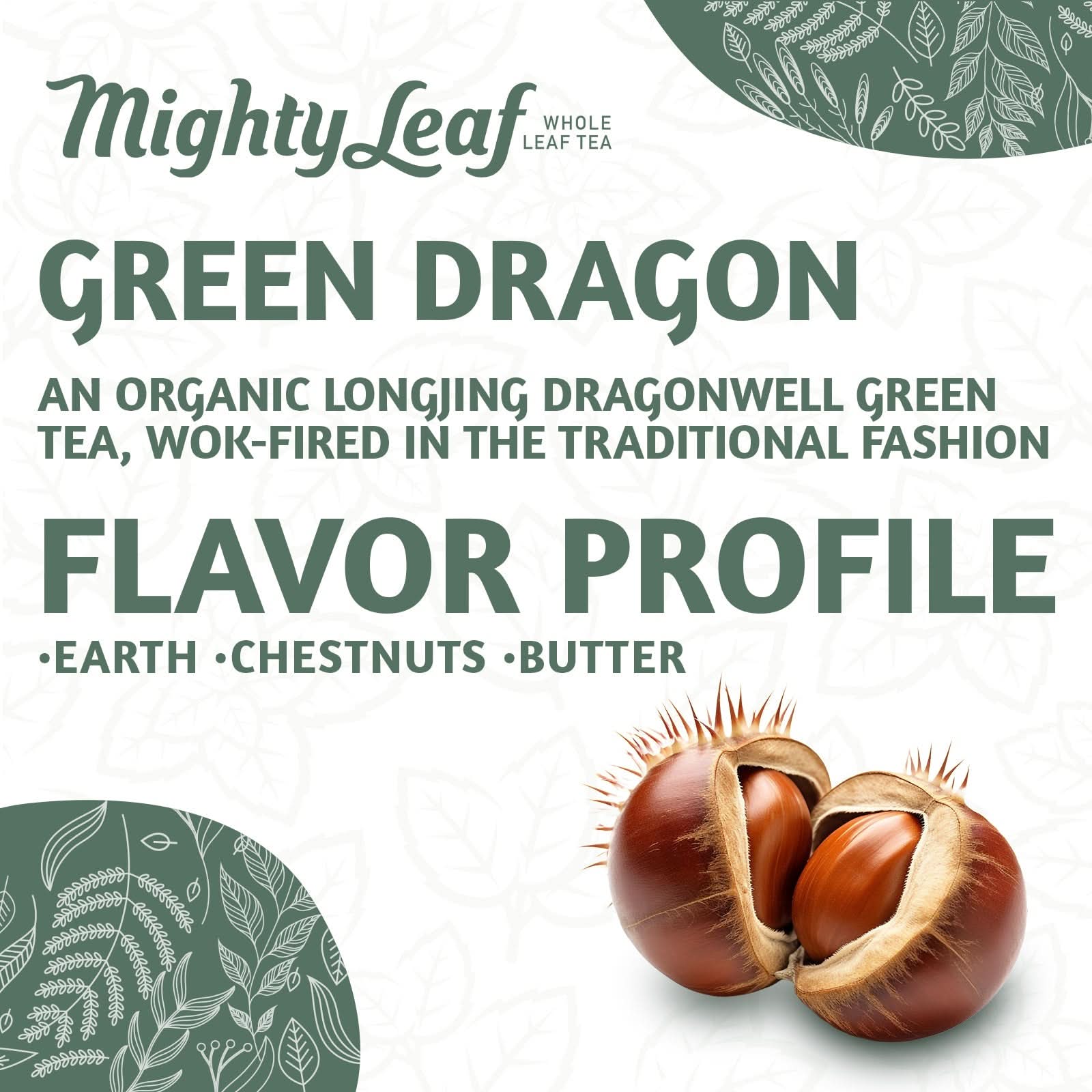 Mighty Leaf Tea Organic Green Dragon - 100 Pouches | Pure Green Tea