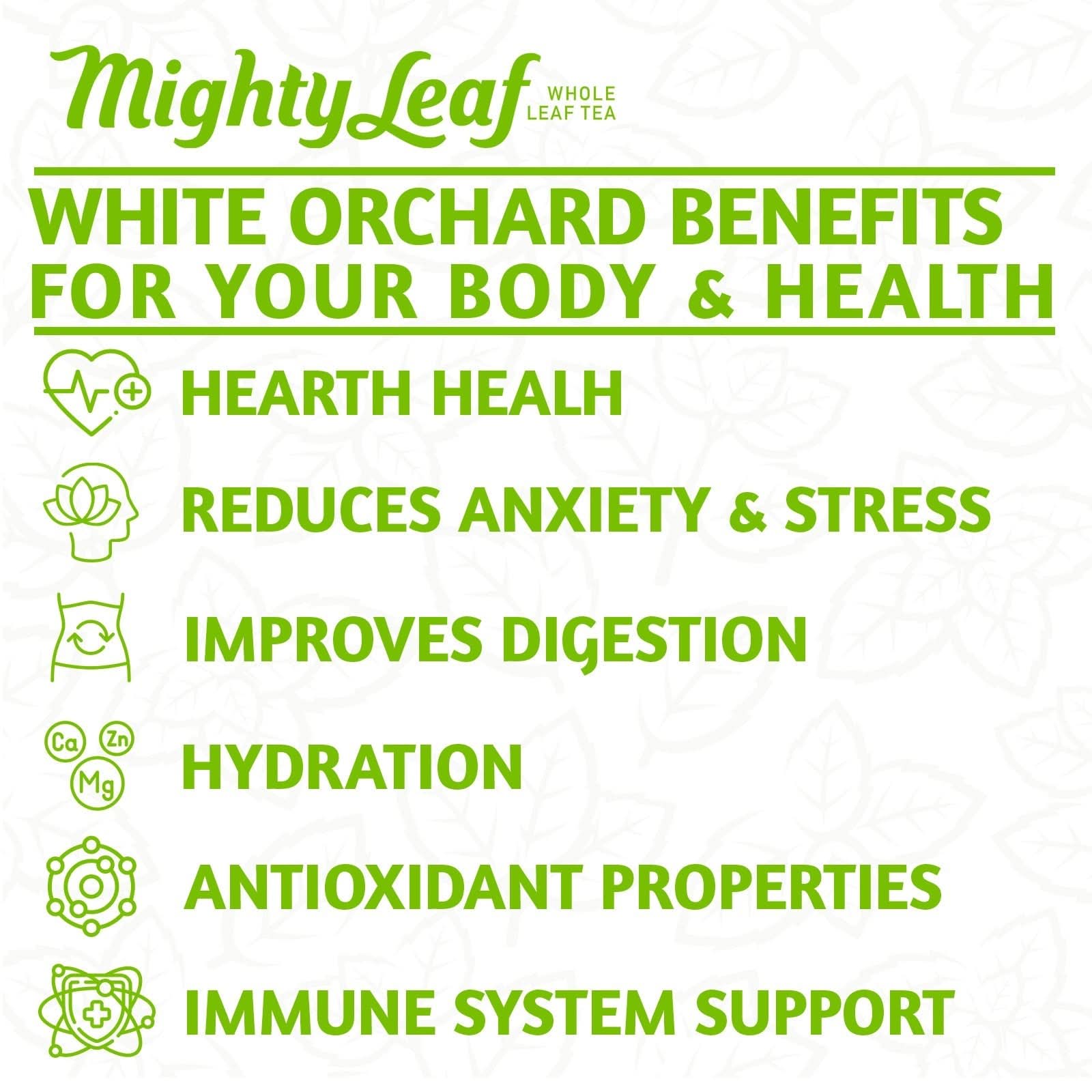 Mighty Leaf Tea White Orchard - 1000 Pouches | Delicate White Tea Blend