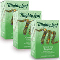 Mighty Leaf Green Tea Tropical - 45 Pouches | Refreshing Tropical Blend