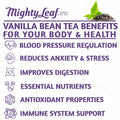 Mighty Leaf Tea Vanilla Bean - 100 Pouches | Smooth Black Tea & Vanilla