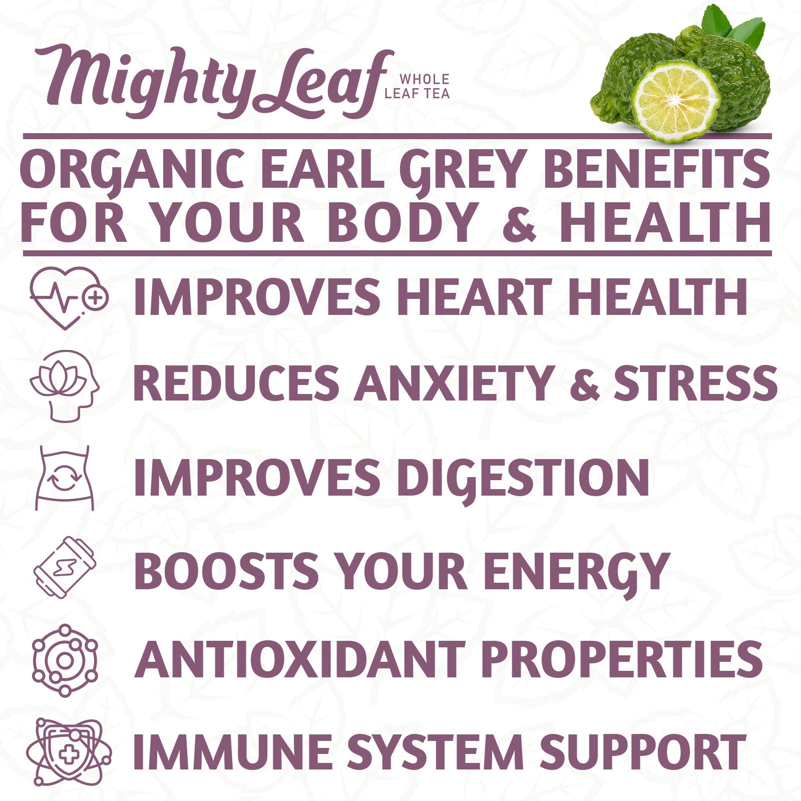 Mighty Leaf Earl Grey Tea - 100 Pouches | Premium Black Tea Bergamot